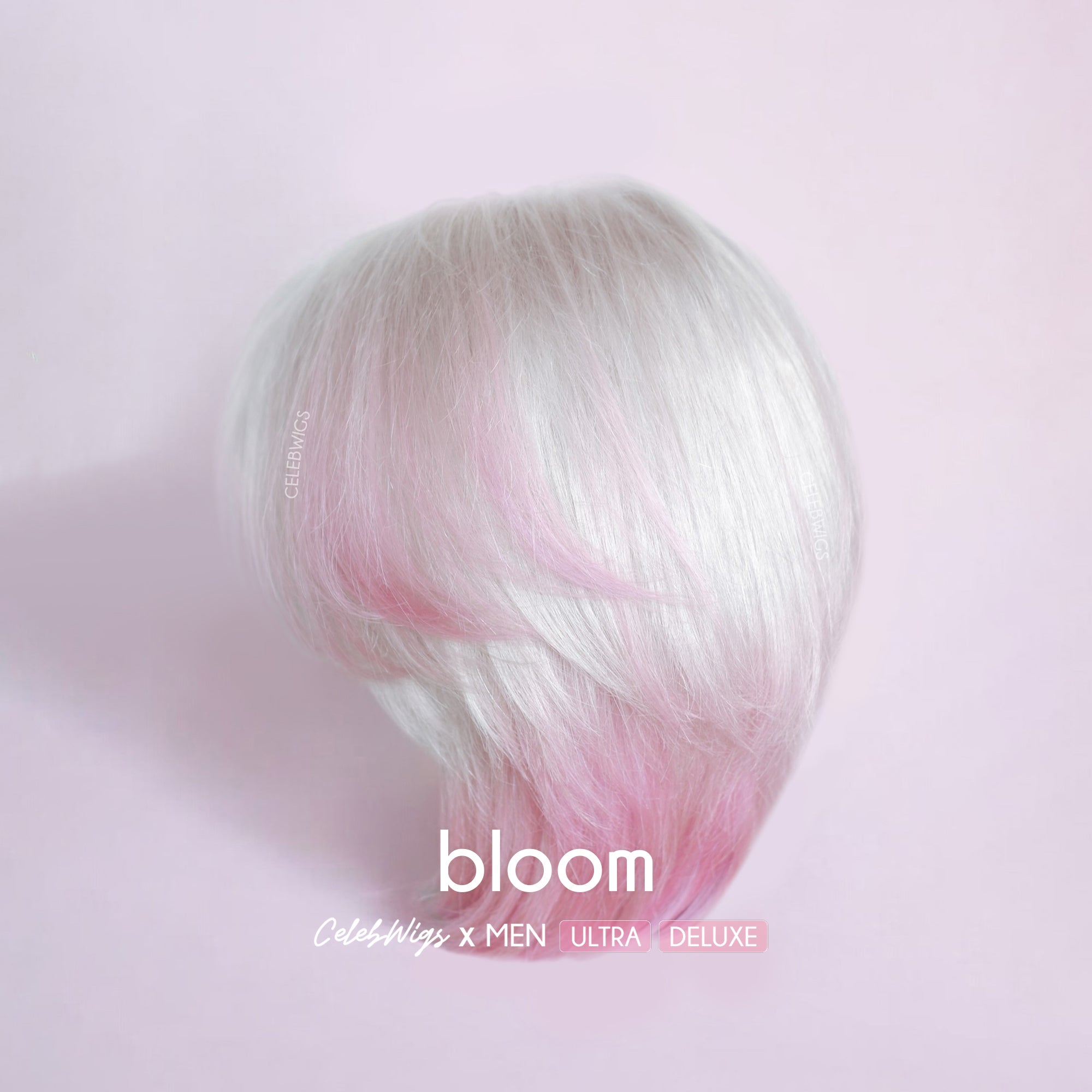 CELEBWIGS MEN / Bloom - Valentine2025 (DELUXE)